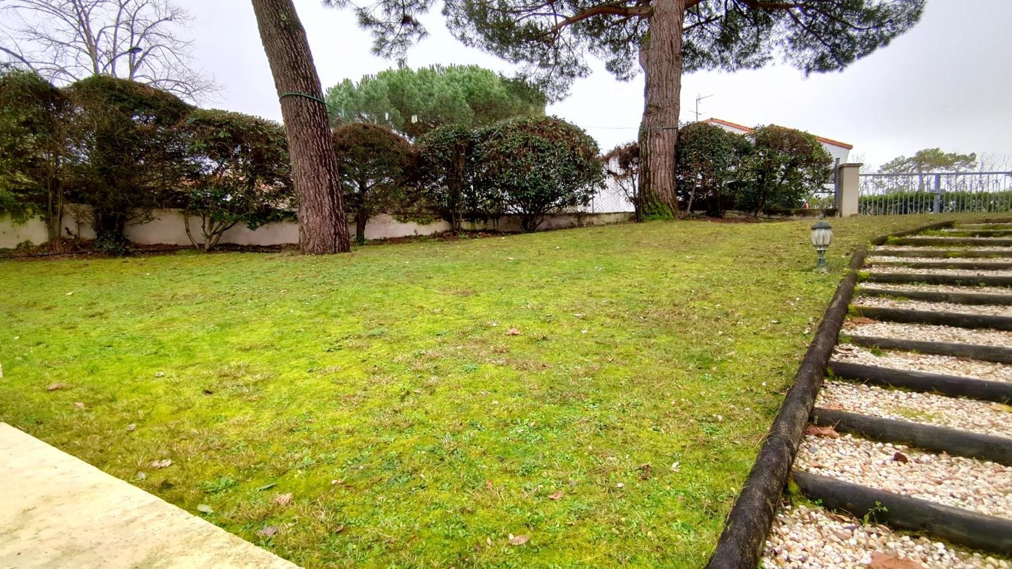 Les Ecureuils Du Parc A 400 M De La * Royan