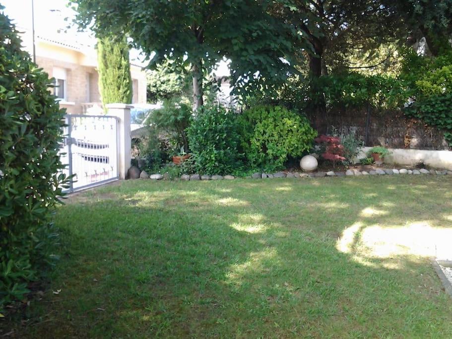 Les Ecureuils Du Parc A 400 M De La